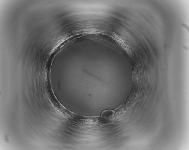 X0000095550347200712281611