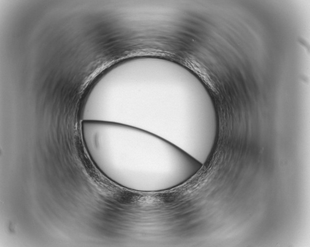 X0000095550348200712281611