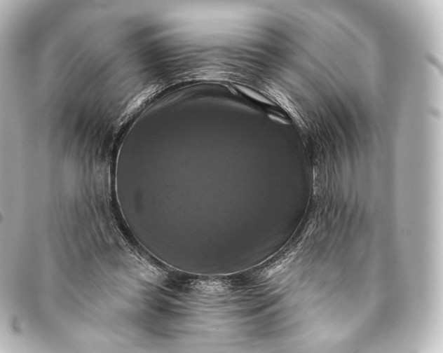 X0000095550349200712281611