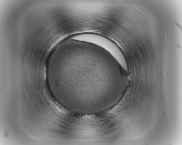 X0000095550350200712281611