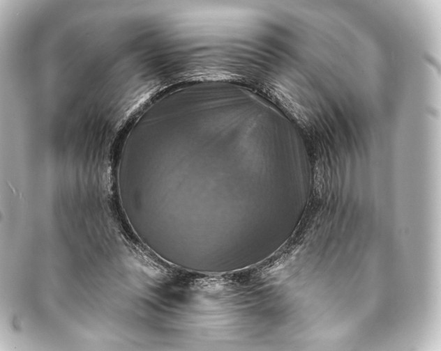 X0000095550351200712281611