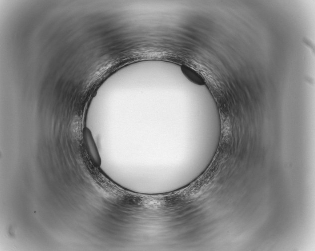 X0000095550352200712281611