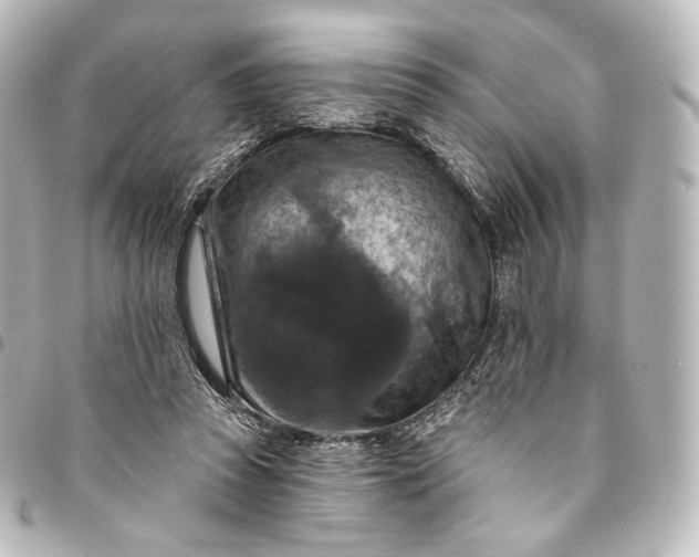 X0000095550353200712281611