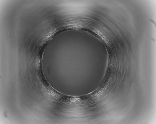 X0000095550355200712281611