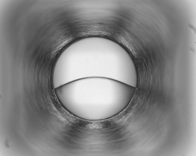 X0000095550356200712281611