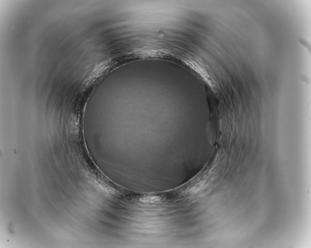 X0000095550357200712281611