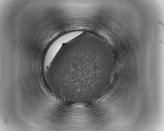 X0000095550358200712281611