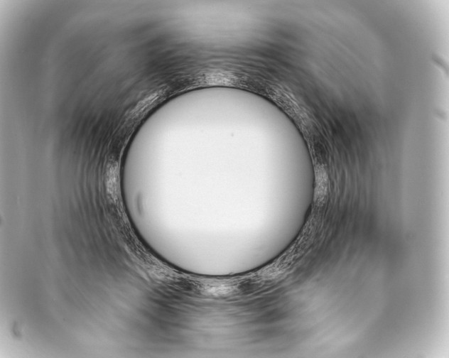 X0000095550360200712281611