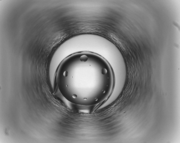 X0000095550362200712281611