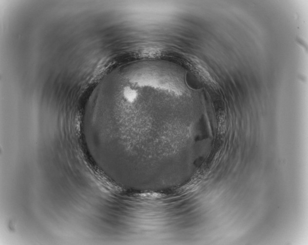 X0000095550363200712281611