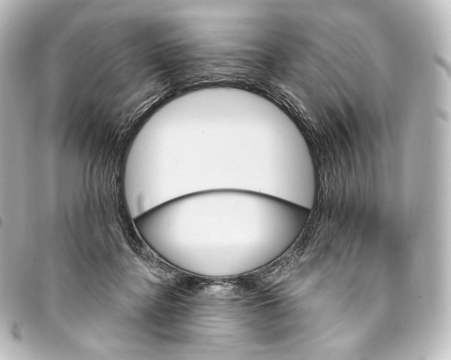 X0000095550364200712281611