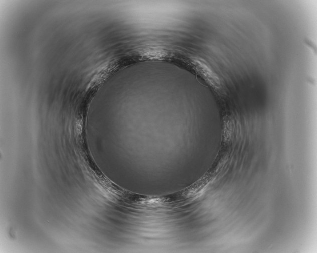 X0000095550365200712281611