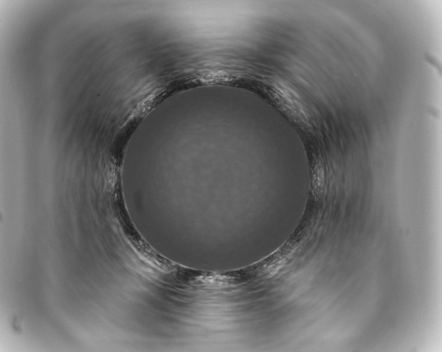 X0000095550367200712281611