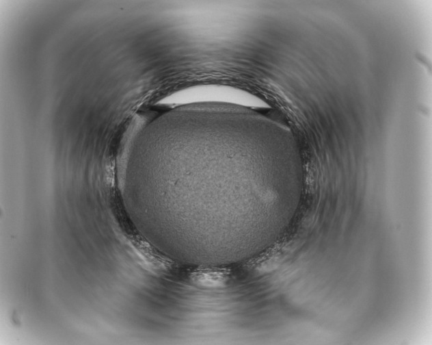 X0000095550368200712281611