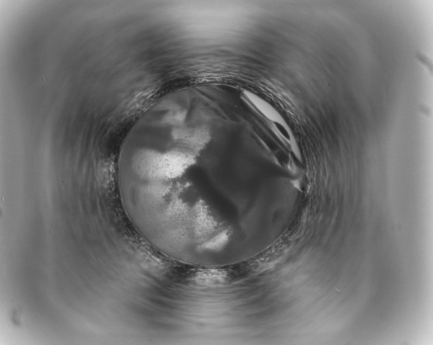 X0000095550369200712281611