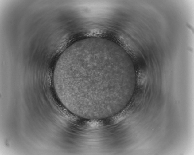 X0000095550370200712281611