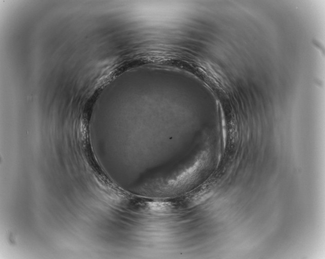 X0000095550371200712281611