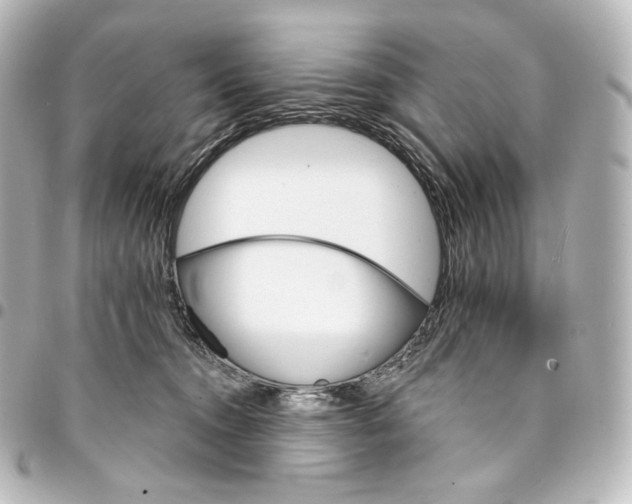 X0000095550372200712281611