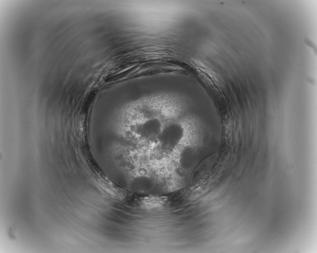 X0000095550373200712281611