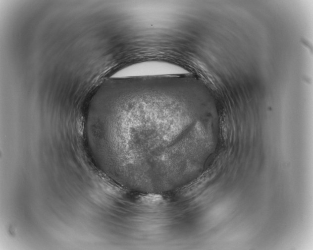 X0000095550374200712281611