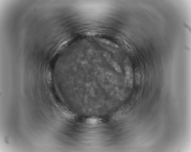 X0000095550375200712281611