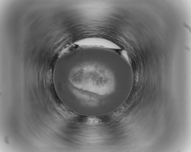 X0000095550376200712281611