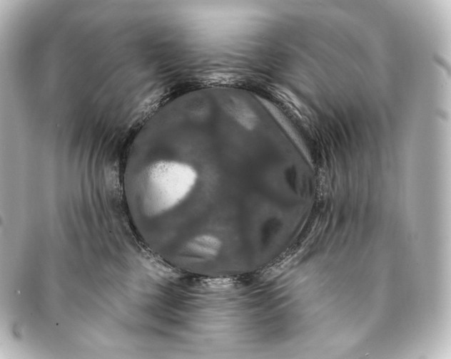 X0000095550377200712281611