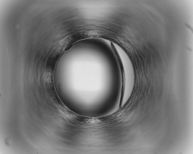 X0000095550379200712281611