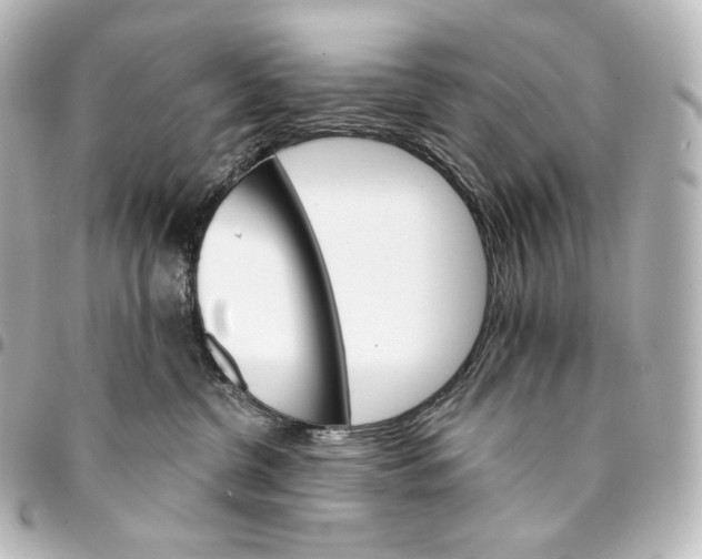 X0000095550380200712281611