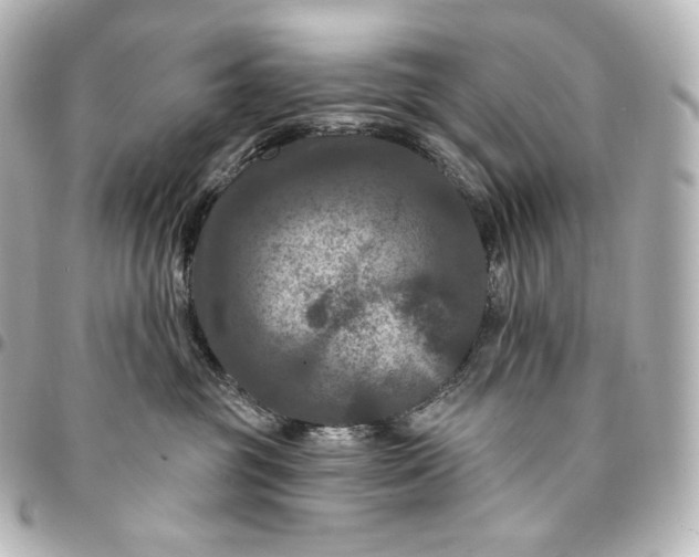 X0000095550381200712281611