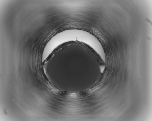 X0000095550382200712281611