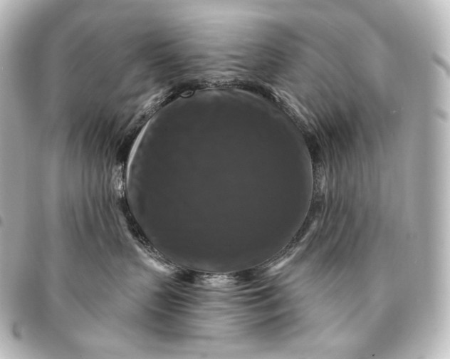 X0000095550383200712281611