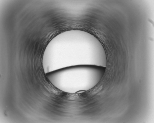 X0000095550384200712281611