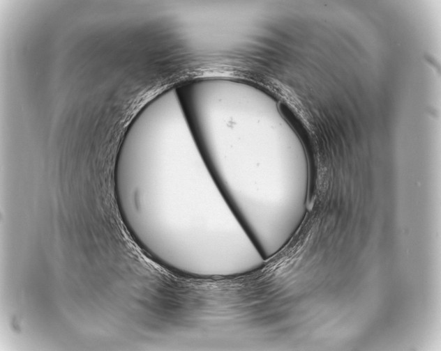 X0000095550385200712281611