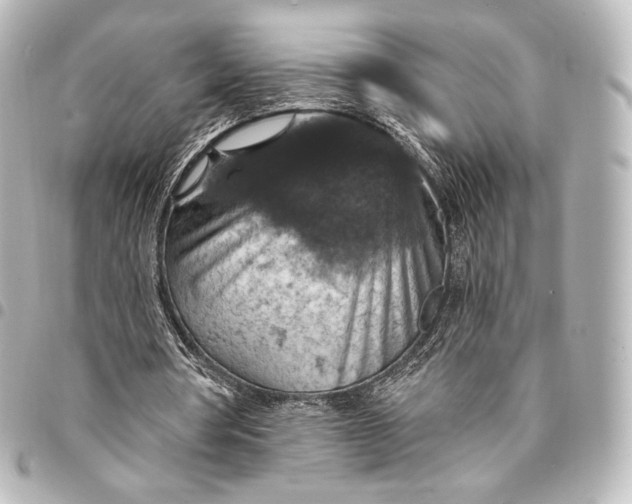 X0000095550386200712281611