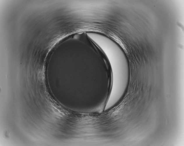 X0000095550387200712281611