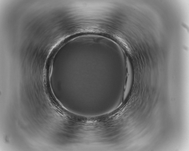 X0000095550388200712281611