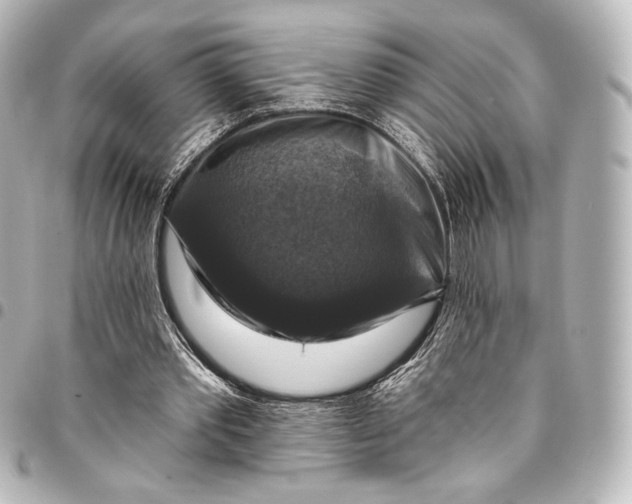 X0000095550389200712281611