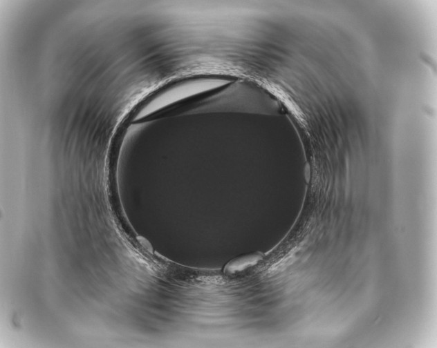 X0000095550391200712281611