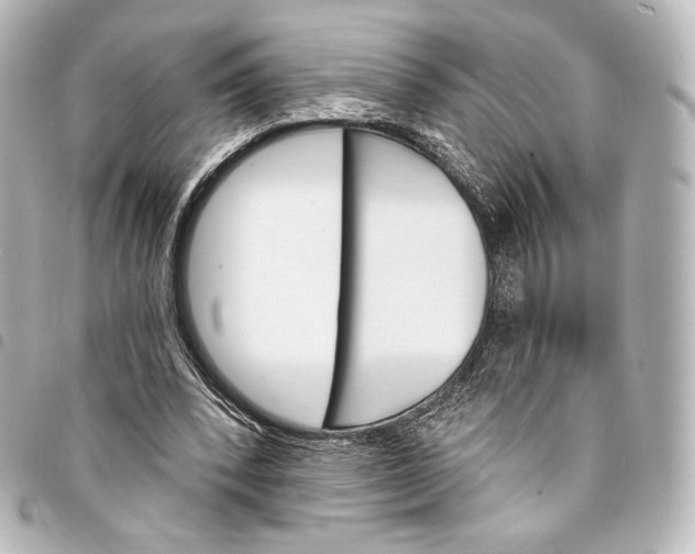 X0000095550392200712281610