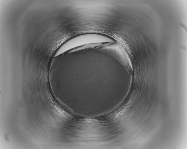 X0000095550393200712281610