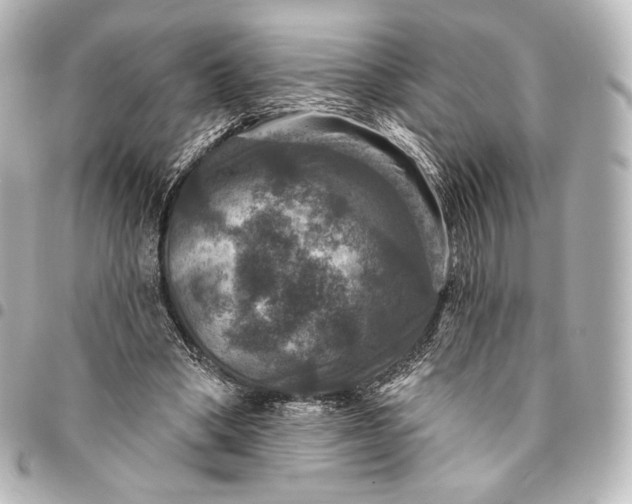 X0000095550394200712281610