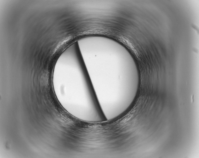 X0000095550396200712281610