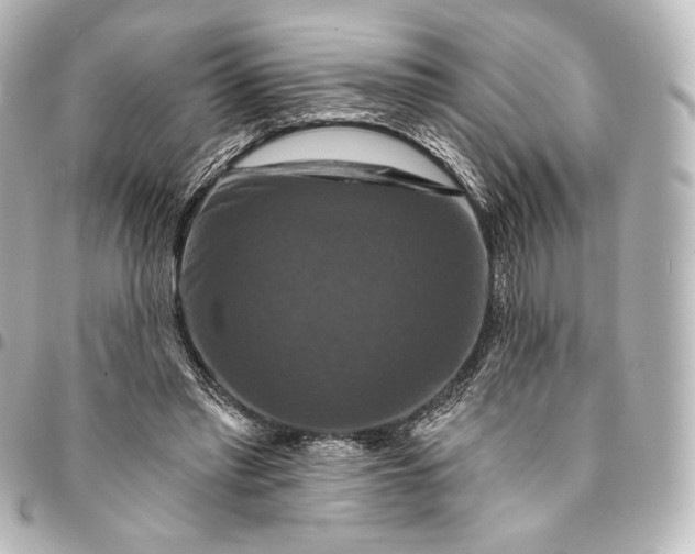 X0000095550397200712281610