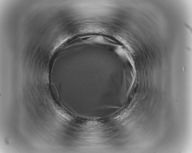 X0000095550399200712281610