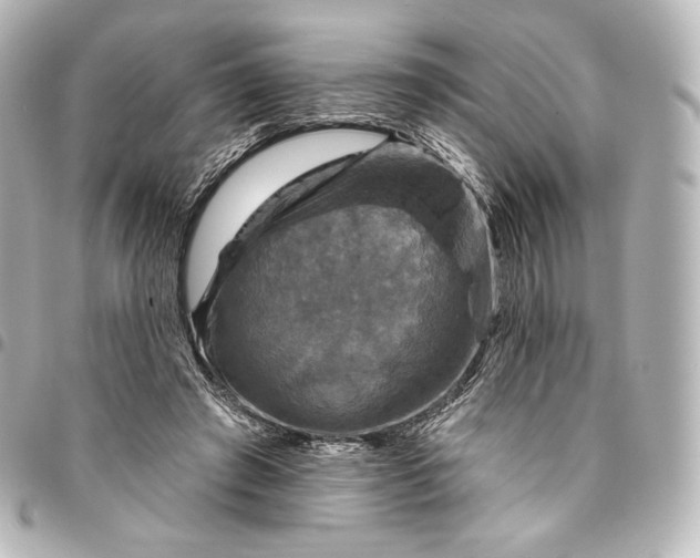 X0000095550401200712281610