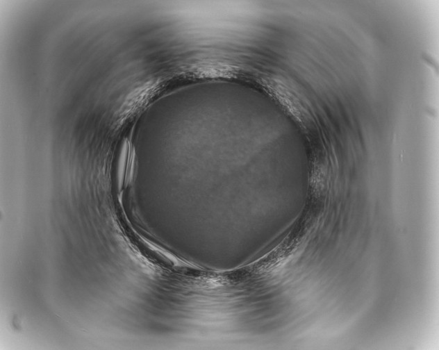 X0000095550402200712281610