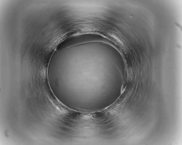 X0000095550405200712281610