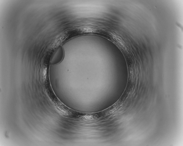 X0000095550406200712281610