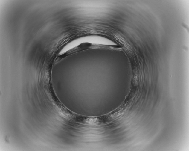 X0000095550410200712281610